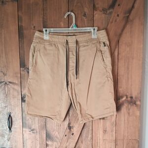 Hollister Men's Brown Flat Front Shorts